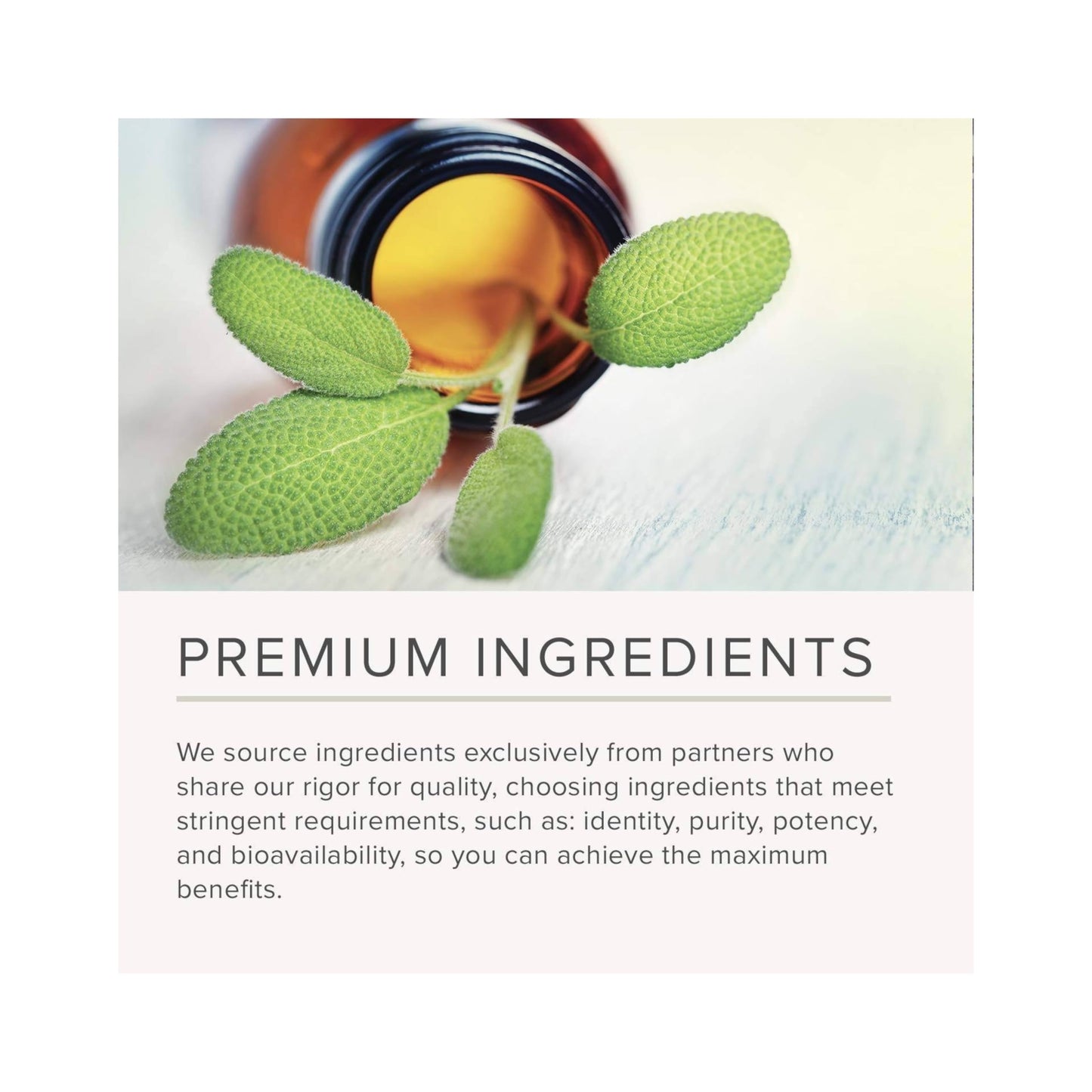 Extracto de Petasita NusaPure 100 mg por cápsula 200 Cápsulas Vegetales (No-OGM, Vegetariano, Vegano)
