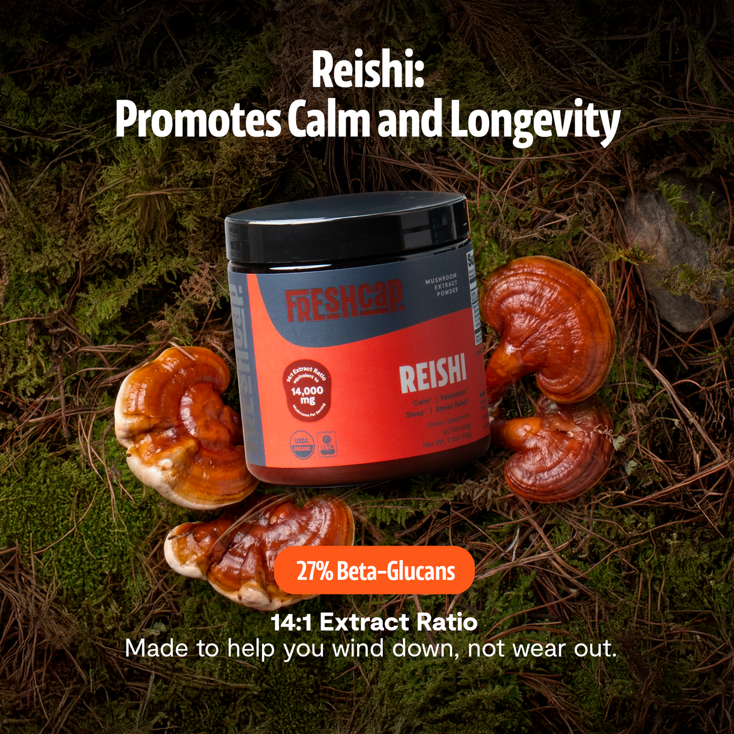 Polvo de hongo Reishi orgánico