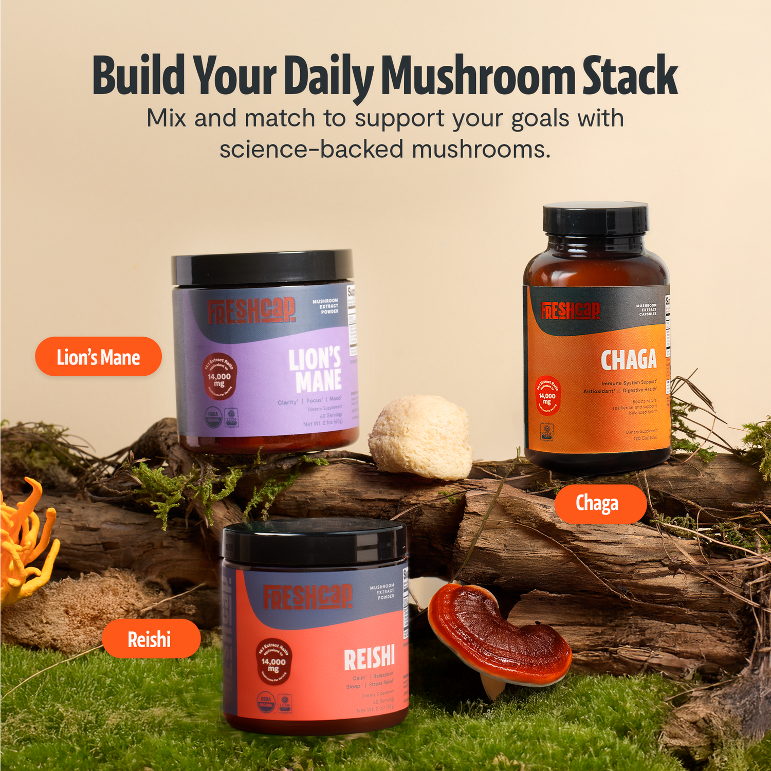 Herbs & Natural Solutions