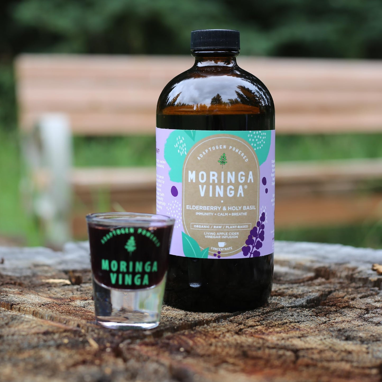Tónico Herbal de Moringa Vinga con Adaptógenos y Vinagre de Sidra de Manzana – 32 oz