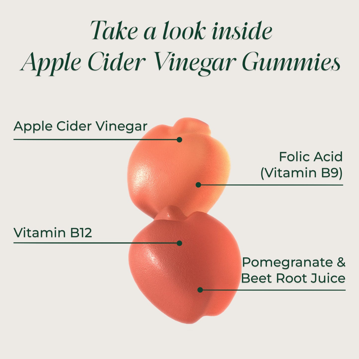 Gomitas de vinagre de sidra de manzana sin azúcar Primal Harvest – 750 mg, 60 unidades