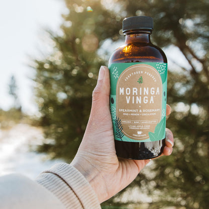 Tónico Herbal de Moringa Vinga con Adaptógenos y Vinagre de Sidra de Manzana – 32 oz