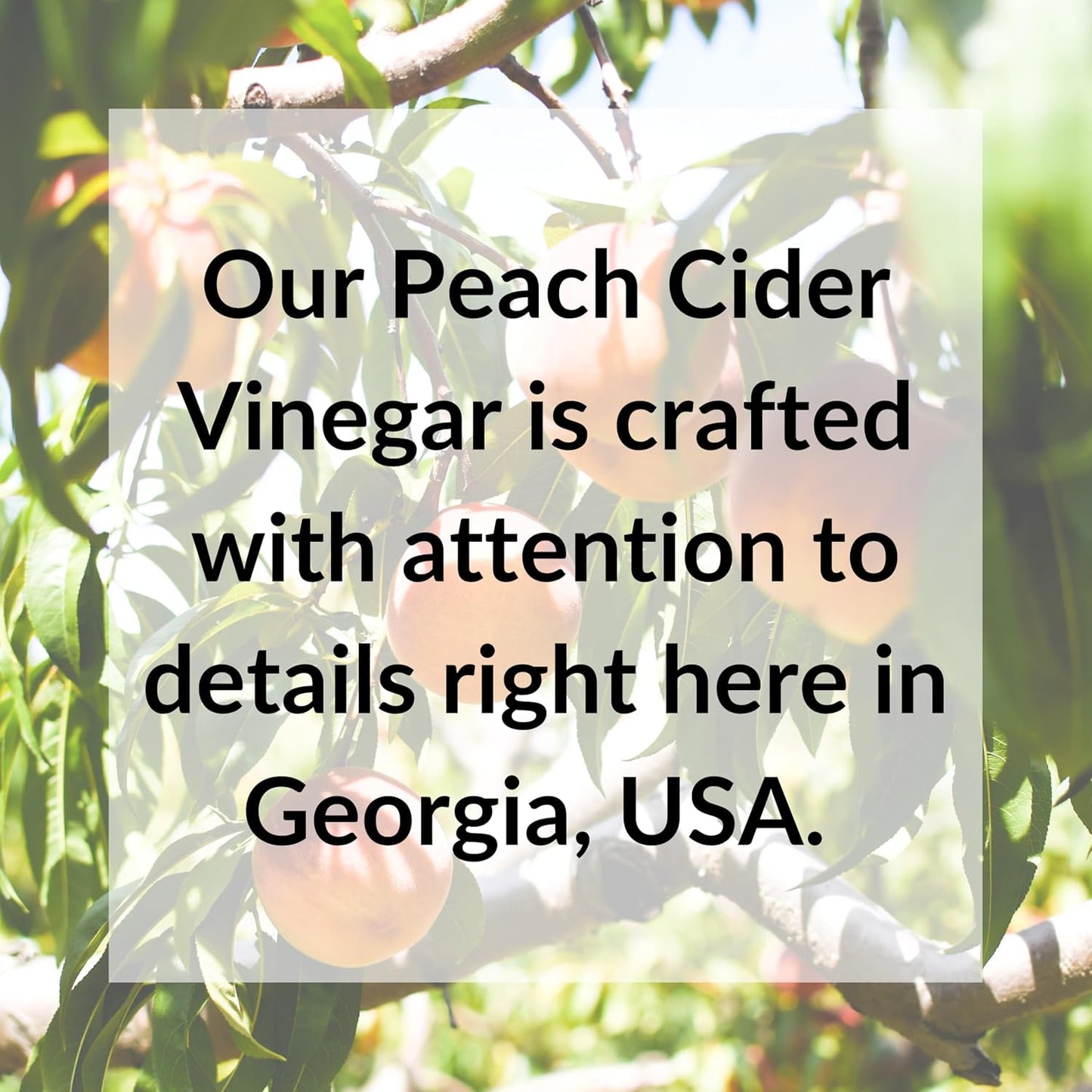 Fresh Press Farms Vinagre de sidra de melocotón orgánico con la madre – 16.4 oz, paquete de 2