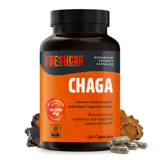 Cápsulas de extracto de hongo Chaga
