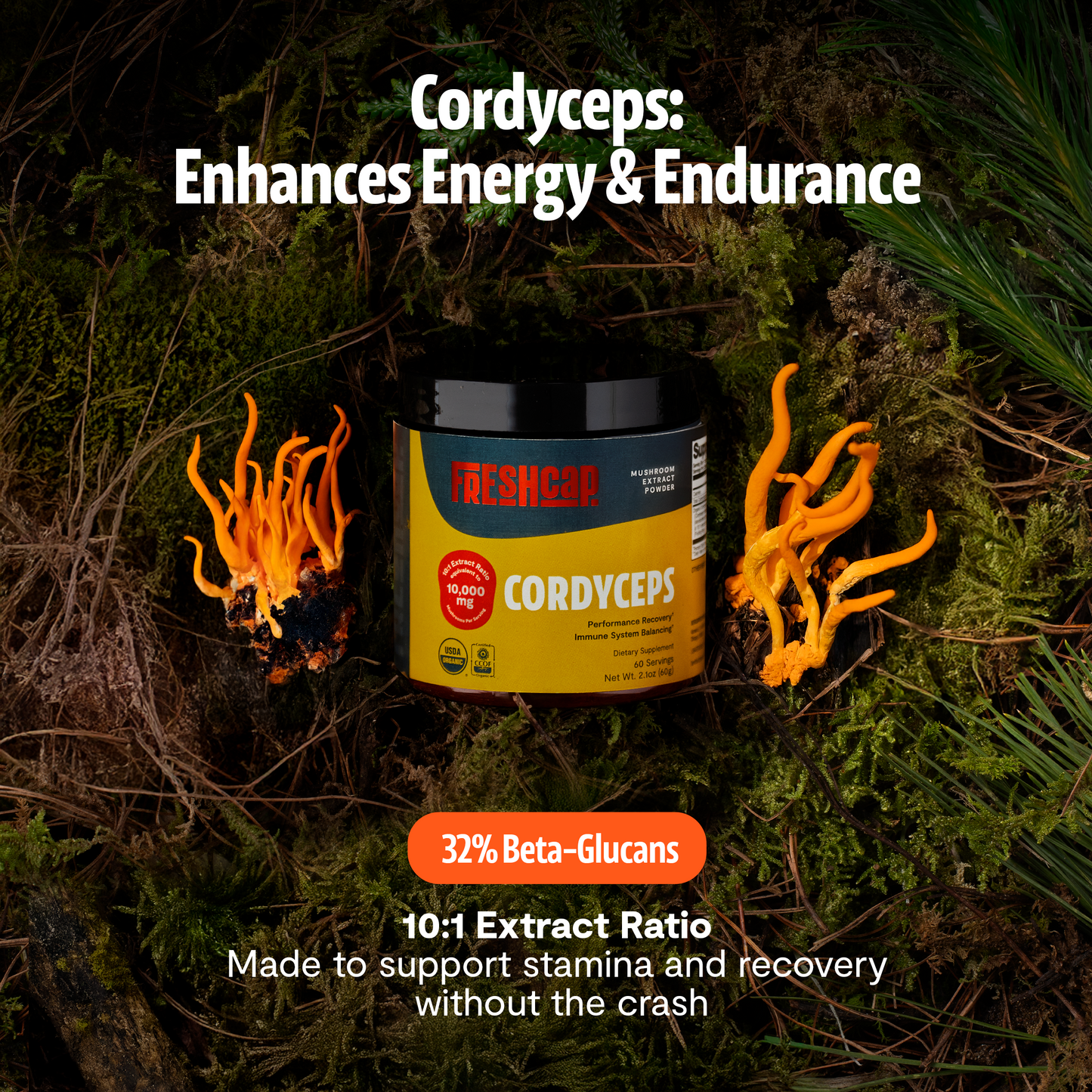 Extracto en polvo de hongo Cordyceps