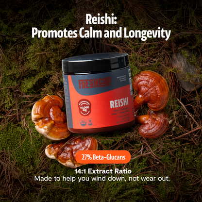 Polvo de hongo Reishi orgánico