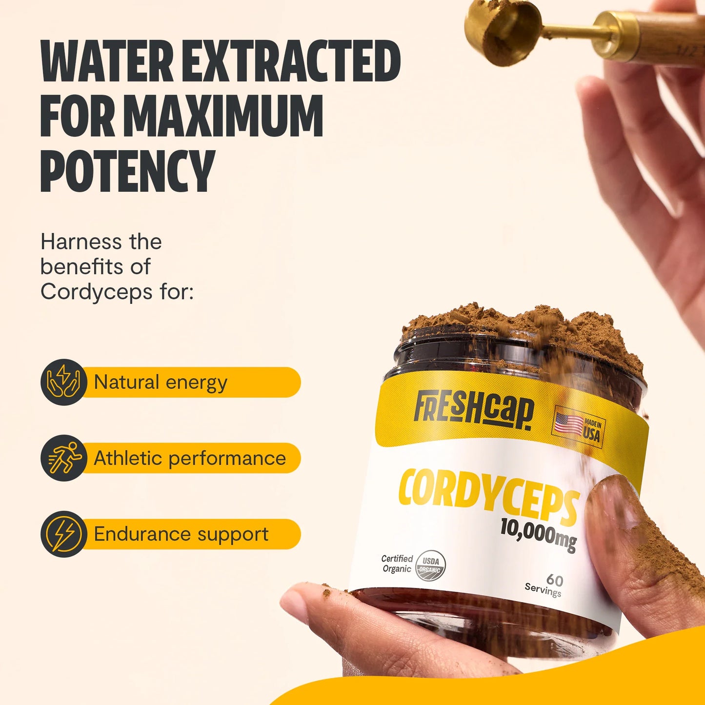 Extracto en polvo de hongo Cordyceps