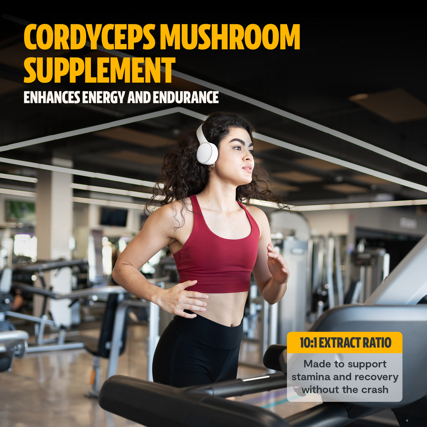 Extracto en polvo de hongo Cordyceps