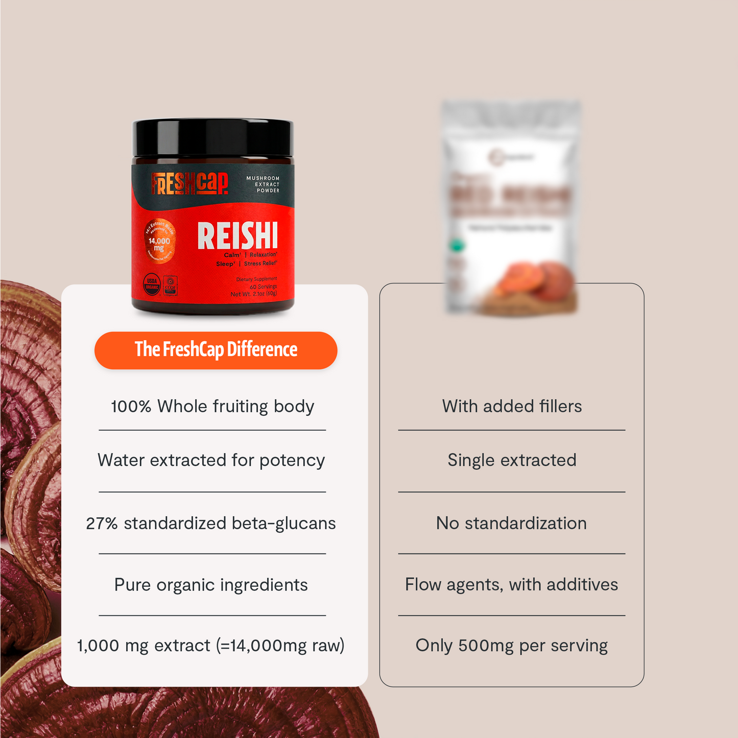 Polvo de hongo Reishi orgánico