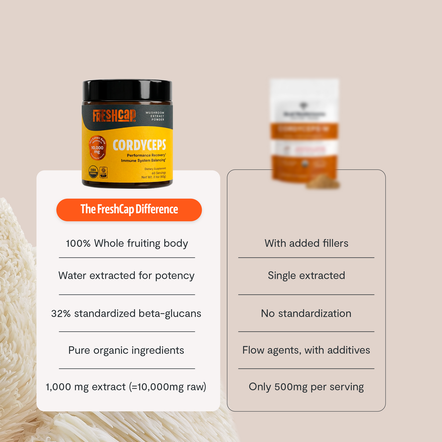 Extracto en polvo de hongo Cordyceps