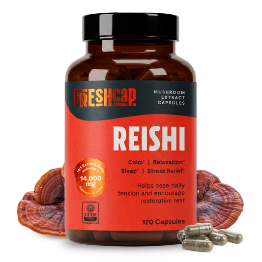 Cápsulas de hongo Reishi orgánico