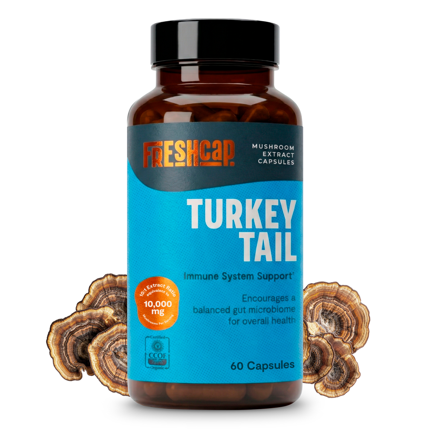 Cápsulas de hongo cola de pavo orgánico